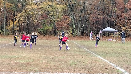 Soccer Field image 1