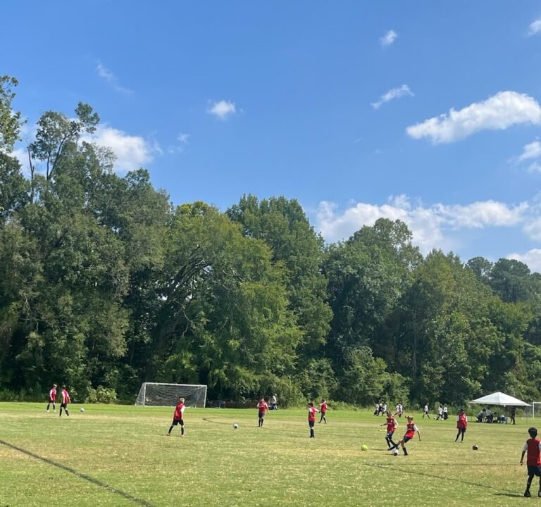 Soccer Field image 2