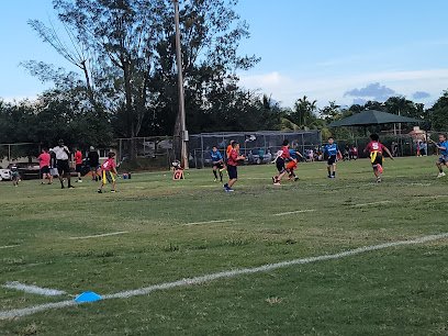 Soccer Field image 1