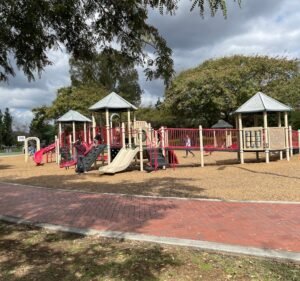 Soccer Field image 2
