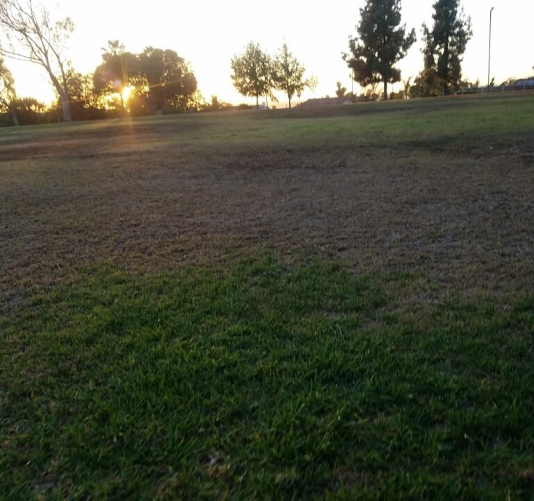 Soccer Field image 3
