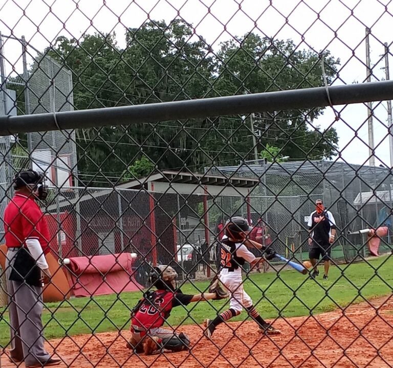 Soccer Field image 2