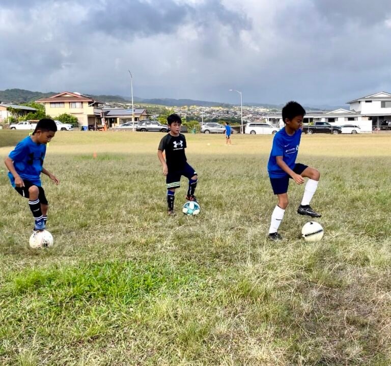 Soccer Field image 3