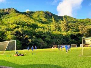 Soccer Field image 1