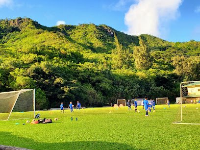 Soccer Field image 1