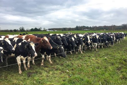 Soccer Field image 1