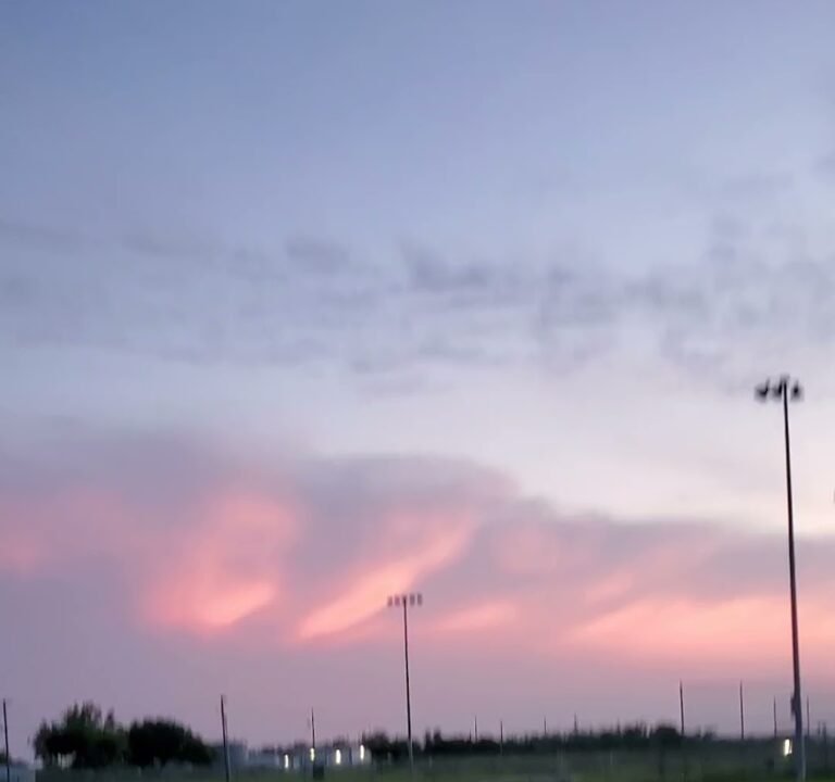 Soccer Field image 3