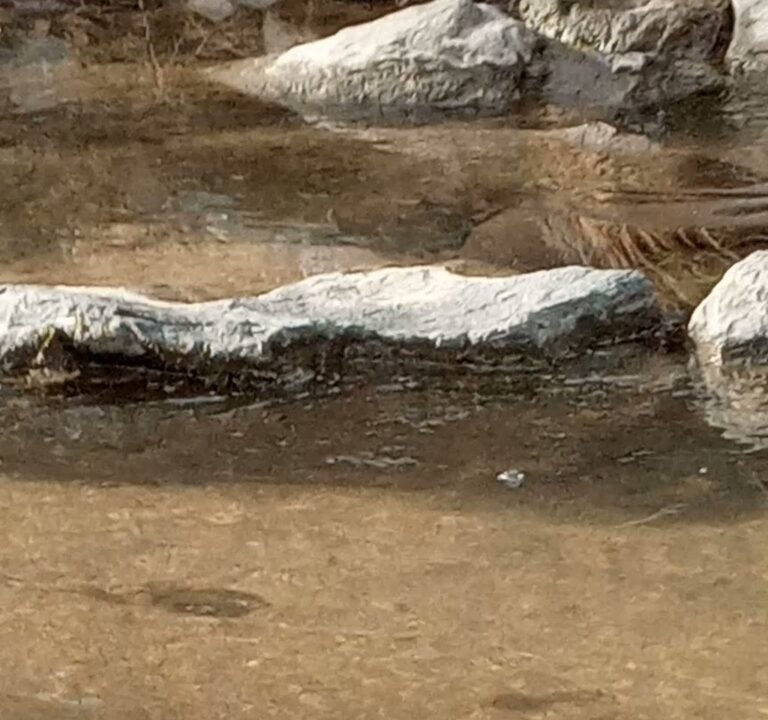 Soccer Field image 4