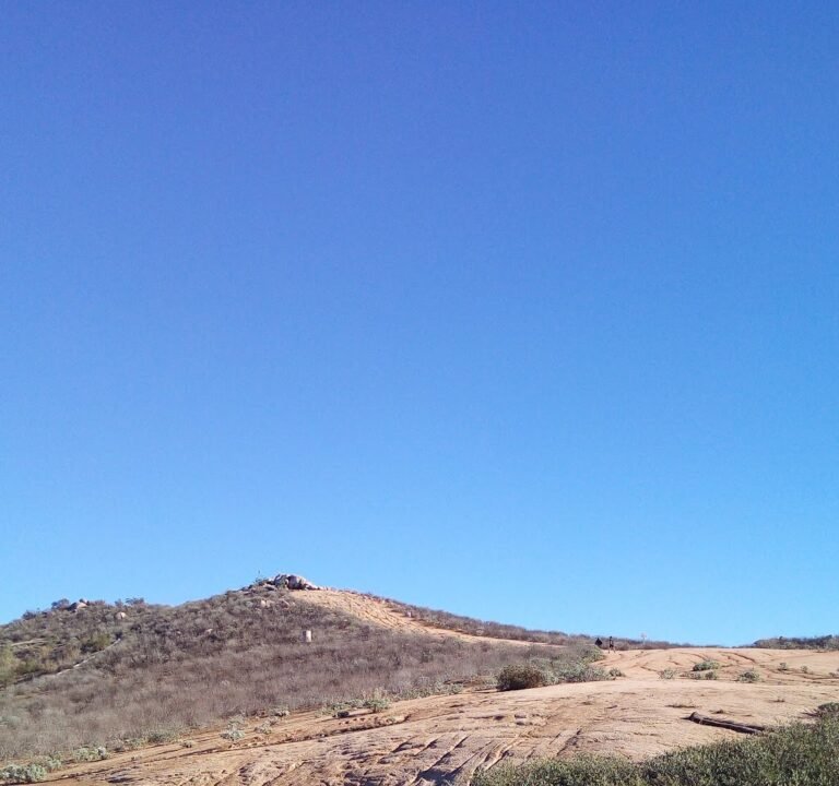 Soccer Field image 3
