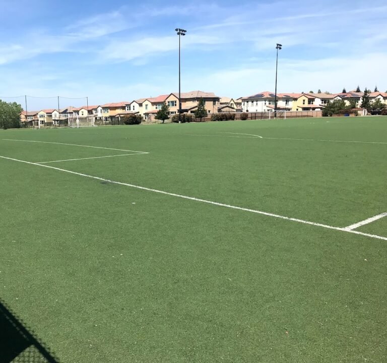 Soccer Field image 2