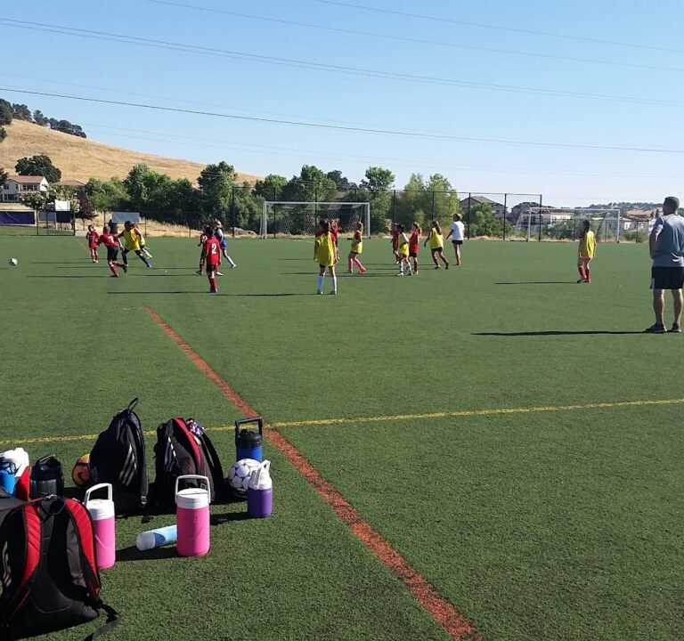 Soccer Field image 3