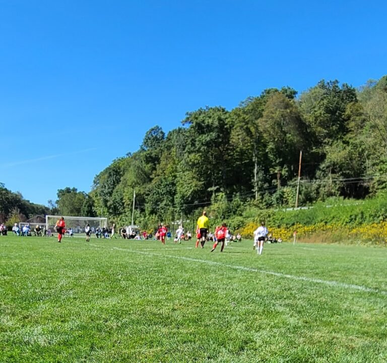 Soccer Field image 2