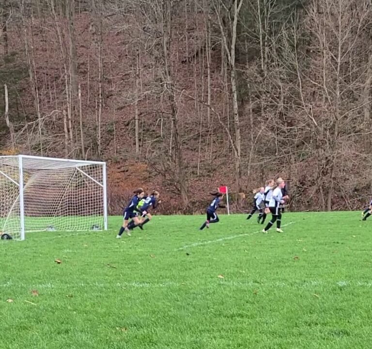 Soccer Field image 4