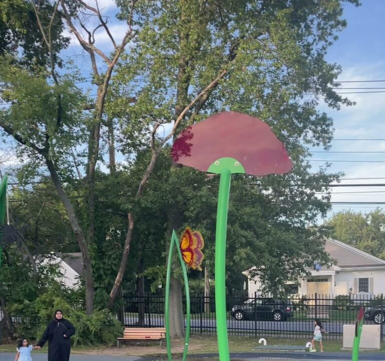 Soccer Field image 4