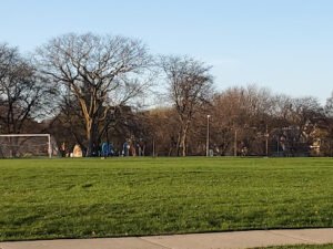 Soccer Field image 1