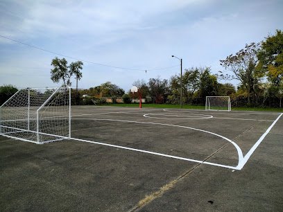 Soccer Field image 1