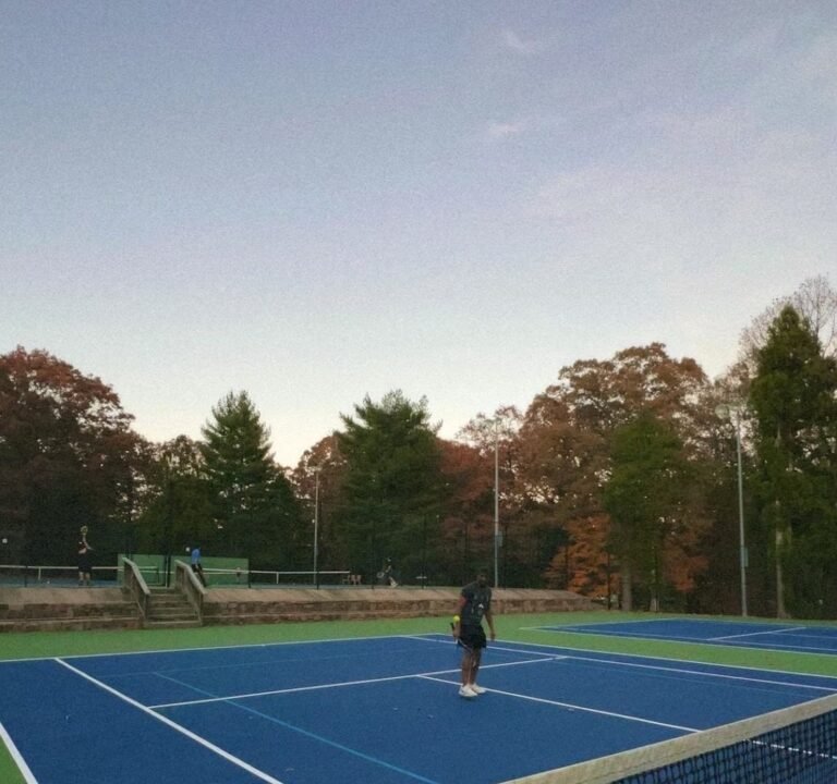 Soccer Field image 2