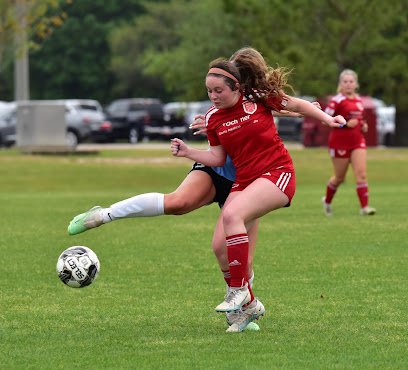 Soccer Field image 1