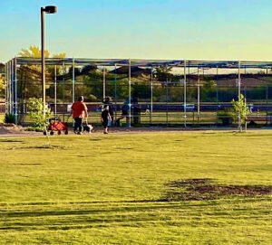 Soccer Field image 1