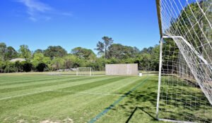 Soccer Field image 1