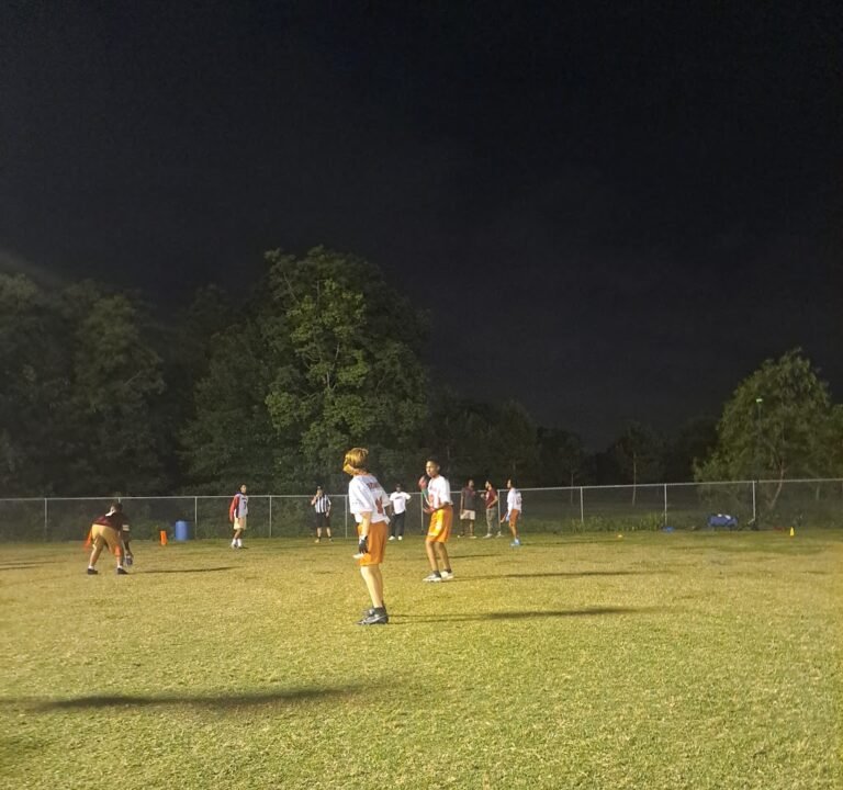 Soccer Field image 3