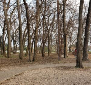 Soccer Field image 2