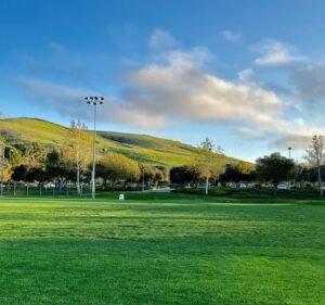 Soccer Field image 2