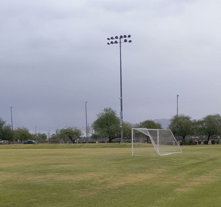 Soccer Field image 4