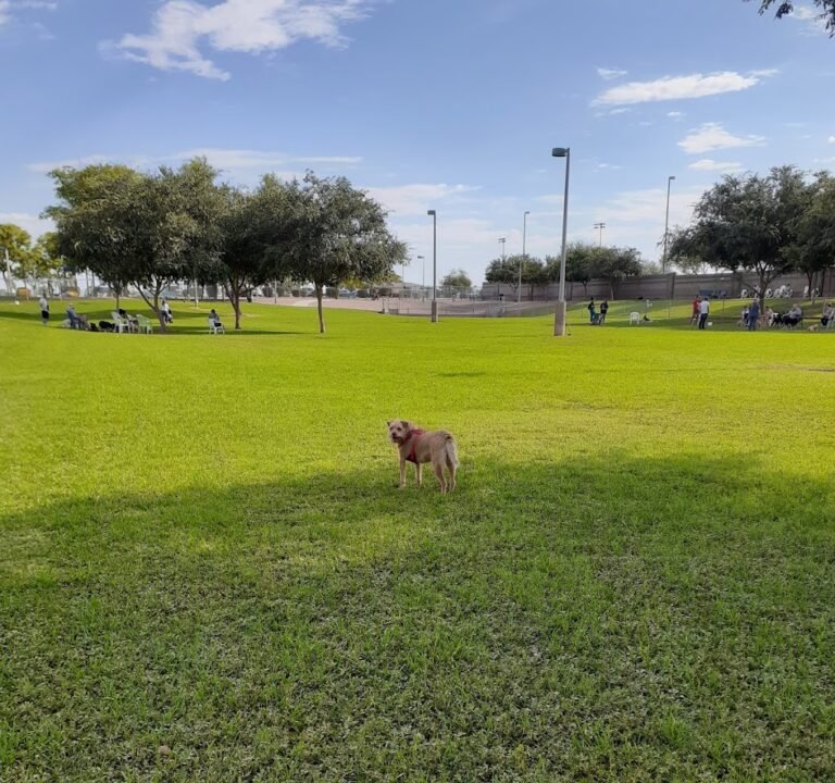 Soccer Field image 2