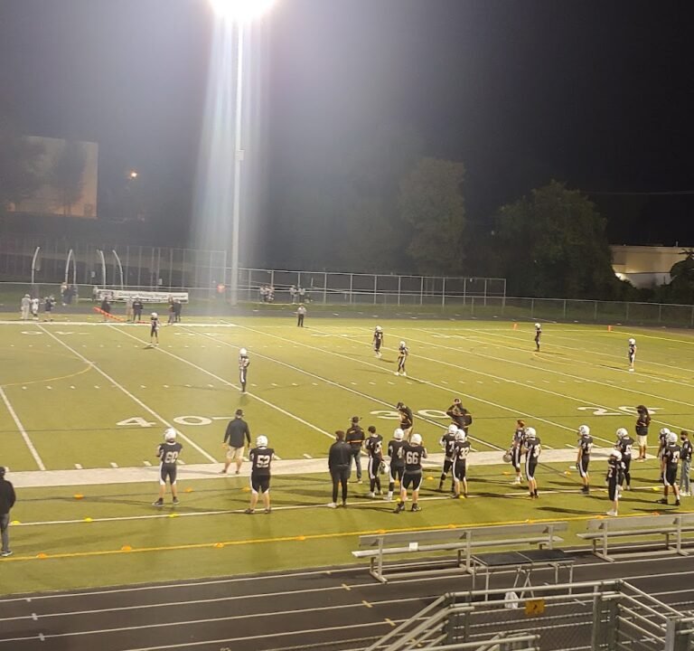 Soccer Field image 2