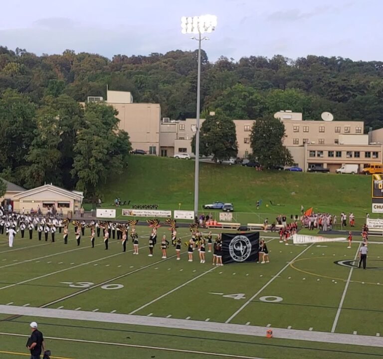 Soccer Field image 3