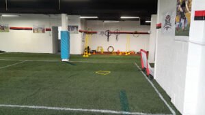 Soccer Field image 1