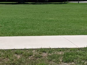 Soccer Field image 1