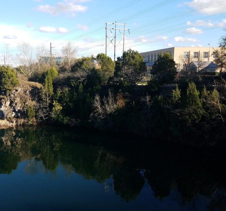 Soccer Field image 2