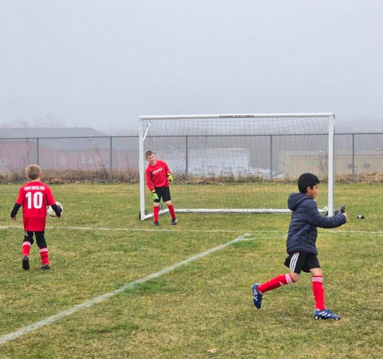 Soccer Field image 3