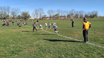 Soccer Field image 1
