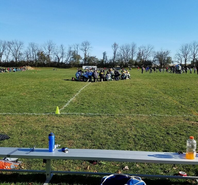 Soccer Field image 2