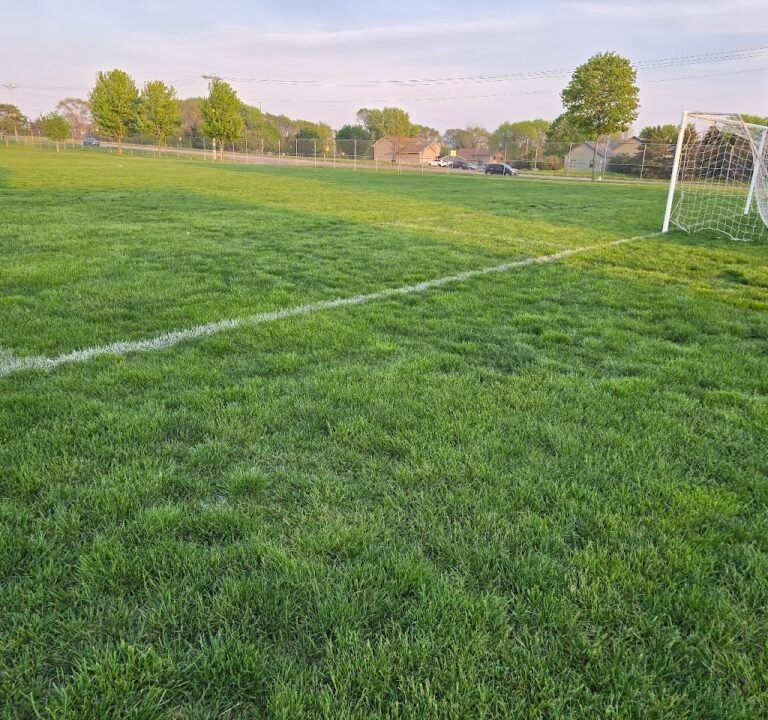 Soccer Field image 3