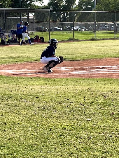 Soccer Field image 1