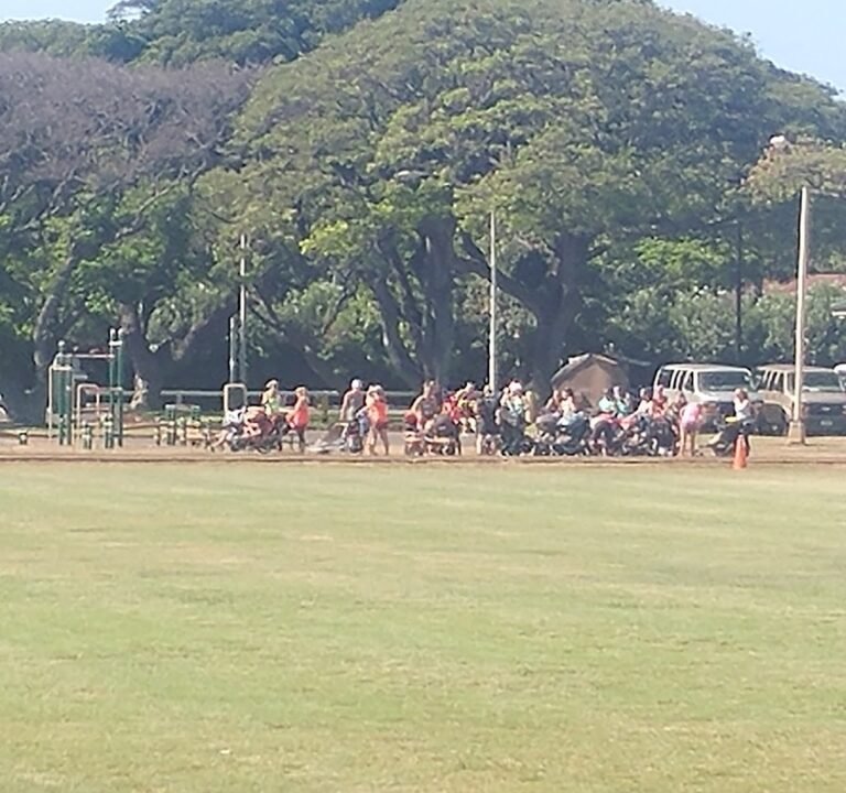 Soccer Field image 2