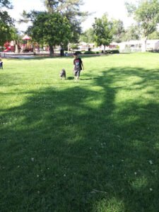 Soccer Field image 1