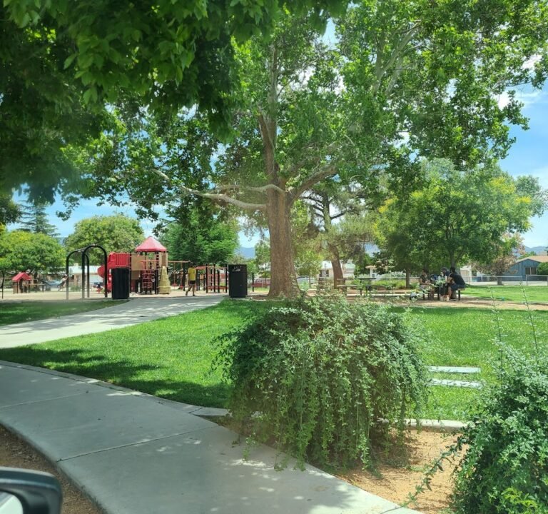 Soccer Field image 2