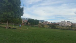 Soccer Field image 1