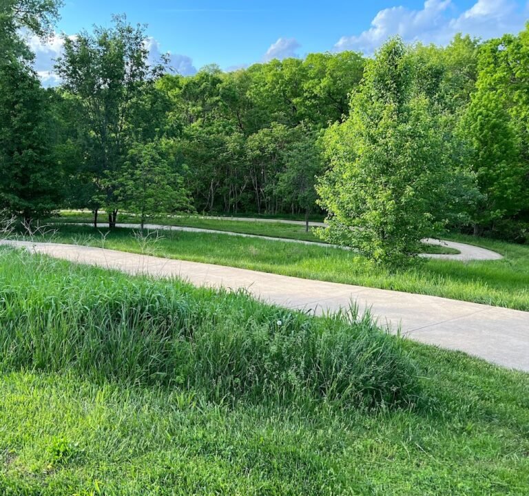 Soccer Field image 2