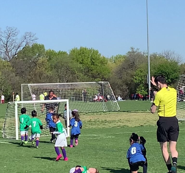 Soccer Field image 4