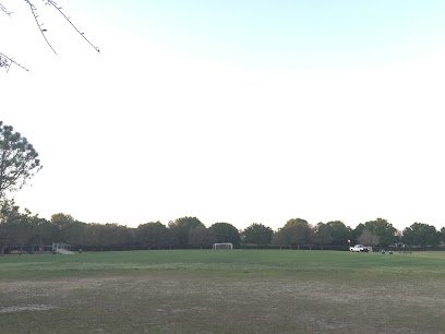 Soccer Field image 1