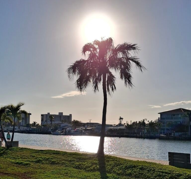 Soccer Field image 3