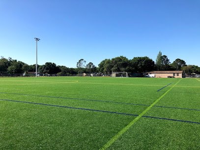 Soccer Field image 1