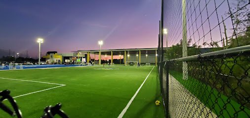 Soccer Field image 1