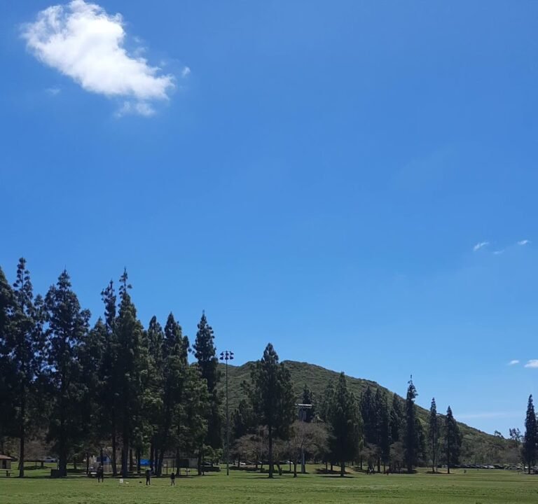 Soccer Field image 4